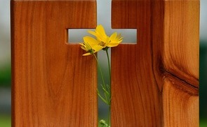 Ein eindringlicher Aufruf an alle Kirche, künftig immer gemeinsam Ostern zu feiern, kommt von PRO ORIENTE Sektion Linz